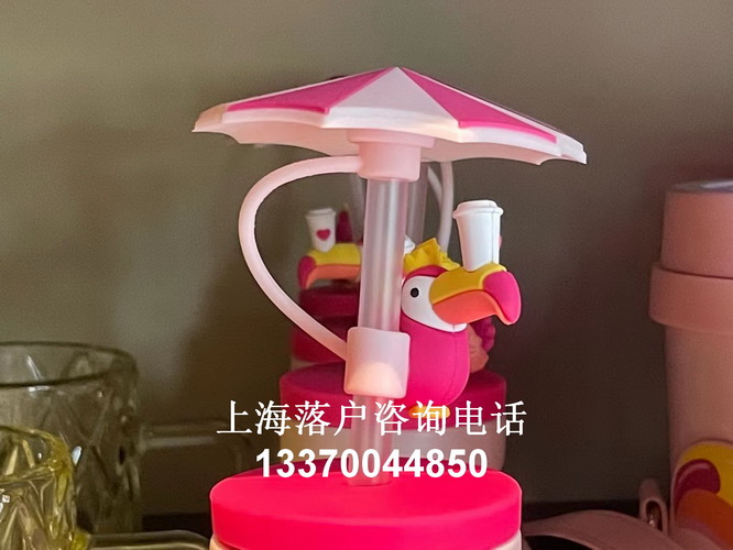 無(wú)戶二十八載終 “安家”！青海省互助縣蔡家堡派出所